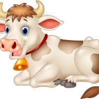 Cow