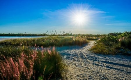 Landscape nature - beaches, sunset, landscape, photo