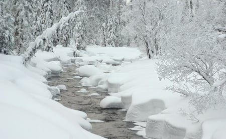 winter scene - winter, nature, photo, snow