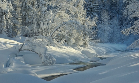 winter scene - scene, river, winter, nature