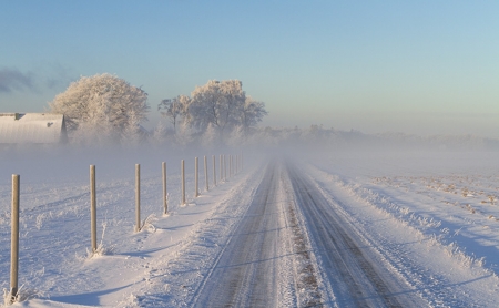 winter road - road, winter, photo, nature