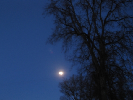 Morning sky with the moon - Morgenhimmel mit dem Mond, rytinis dangus su menuliu, ciel du matin avec la lune, morning sky with the moon