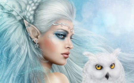 Snow Queen - bird, winter, blue, girl, bufnita, snow queen, owl, pasari, fantasy, white, iarna, alenaekaterinburg