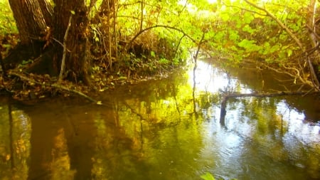 Summer stream - nice, stream, summer, majestic, forest, beautiful, river, green, photo