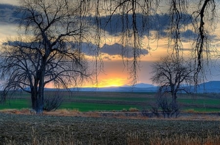 Landscape nature - nature, sunset, landscape, photo