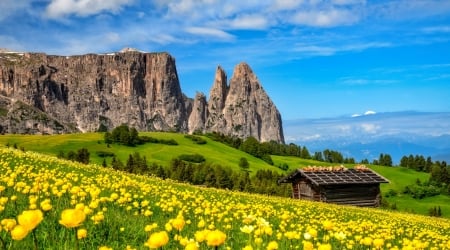 South Tyrol - greenery, Tyrol, beautiful, dolomites, spring, meadow, grass, freshness, mountain, wildflowers, view, Italy, hut, south