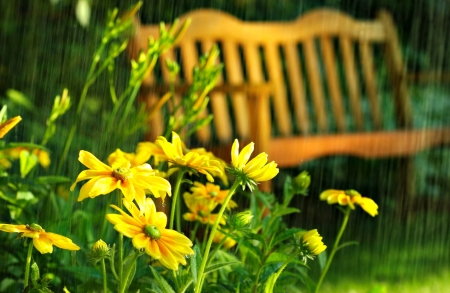 Flowers in park - freshness, rain, springtime, greenery, park, bench, spring, yellow, pretty, beautiful, rest, flowers, grass