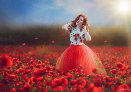 ❤️ - Field, Girl, Flowers, Poppies, Mood