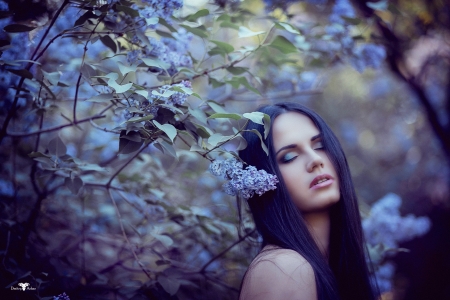 Beauty - dasha, dmitry arhar, blue, woman, model, girl, face, flower