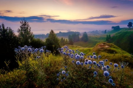 Misty sunrise - sky, view, valley, mountain, beautiful, sunrise, mist, wildflowers