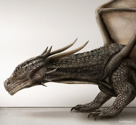 Dragon - fantasy, art, dragon, ferdi rizkiyanto