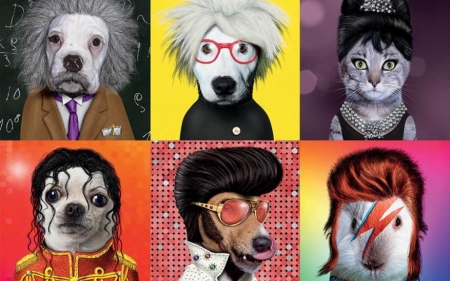 Famous icons pets - collage, dog, creative, cat, famous icon, pet, fantasy, funny, pisici, caine