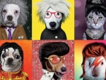 Famous icons pets