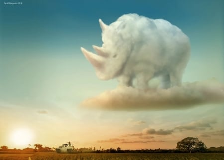 :) - white, safari, summer, ferdi rizkiyanto, cloud, rhino, vara