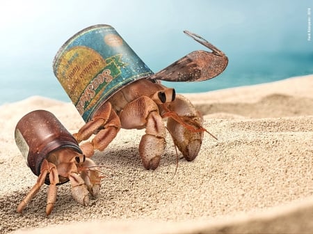 Keep Earth Clean - ferdi rizkiyanto, vara, polution, blue, summer, funny, sand, crab