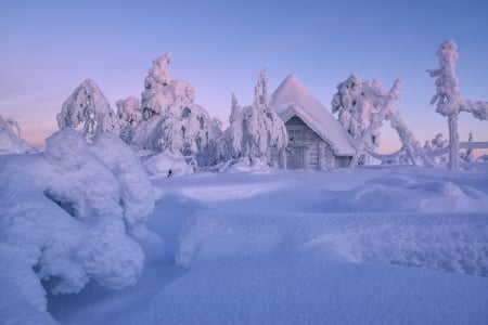 Winter - house, winter, blue, iarna, snow, lapland