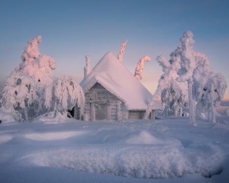 Winter - white, pink, iarna, snow, blue, winter, house