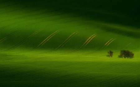 Landscape - skin, countryside, green, landscape, texture, natural