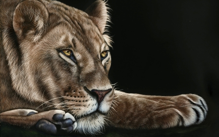 Lion - black, paw, painting, lion, art