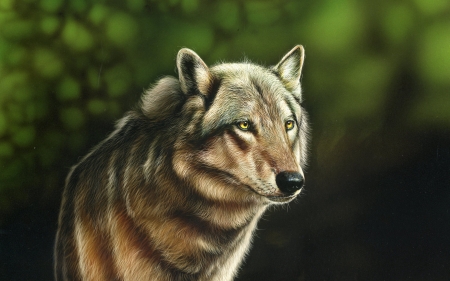 Wolf - wolf, painting, art, lup, pictura