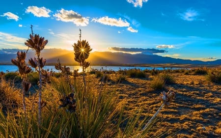 Sunrise - sun, 4k, grass, sea, spring