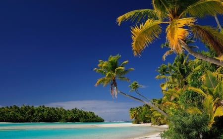 Cook Islands - palm trees, laguna, tropics, beach, islands, oceania