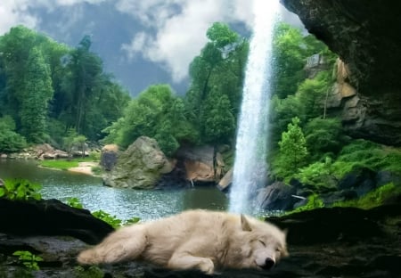 Deep sleep with the sound of water - nature, wolf, deep sleep, watterfal