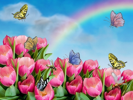 Spring Blossoms - flowers, tulips, rainbow, digital, butterflies, art