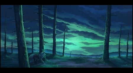 Aurora - forest, martyna szczykutowicz, lup, night, blue, aurora, wolf, fantasy, tree, luminos, green