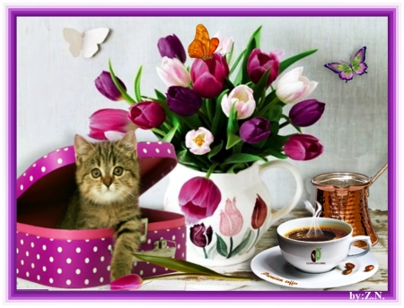 coffee tim - coffee, flowers, time, cats