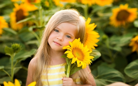 Little Girl with Sunflowers - sunflowers, girl, cute, little, child