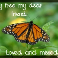 IN MEMORY OF CHERIE..''MONARCH''