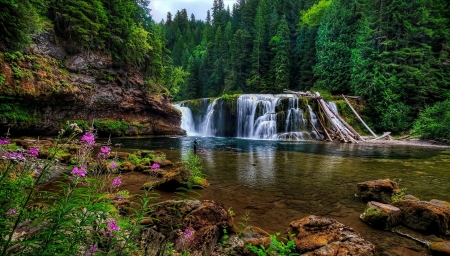 Lower Lewis River Falls - fishing, forest, reflection, beautiful, river, greenery, waterfall, wildflowers