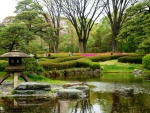 Japanese garden