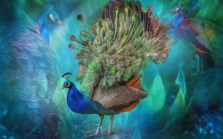 Peacock - paun, bird, blue, feather, pasari, fantasy, peacock, green, luminos