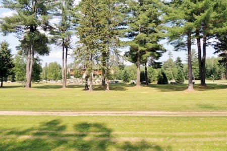 Beautiful Pines - nature, landscape, photography, summer, house, grass