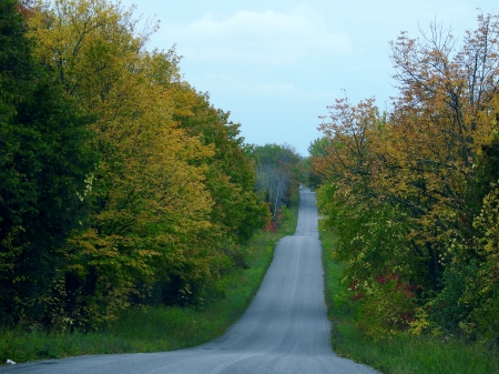 Autumn Back Road - back road, nature, autumn, trees, photography, grass