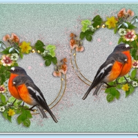 BIRDS WITH FRAMES