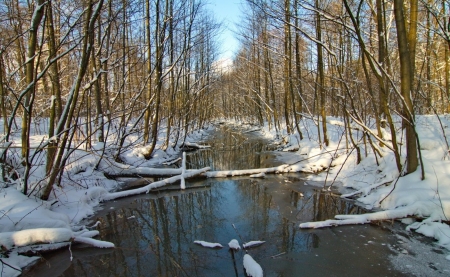 winter scene - winter, photo, rio, river