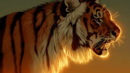 Evening glow - fantasy, tiger, orange, luminos, pixxus, tigru, art