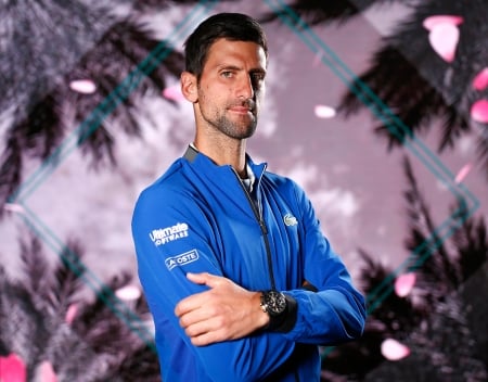 Novak Djokovic - novak, serbian, djoker, novak djokovic, indian wells 2019, djokovic, sport, nole, djoko, tennis, the joker, serbia, atp