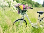 Basket full of flowers