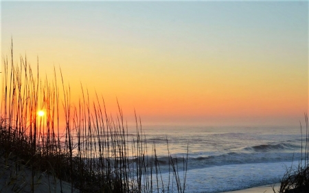 Cape Hatteras,NC - beach, ocean, cape hatteras, sea oats