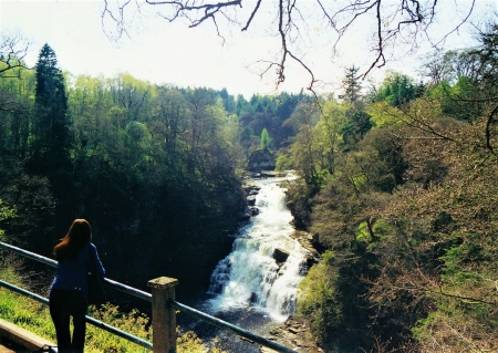 Falls Of Clyde - New Lanark - Scotland - new lanark, falls of clyde, scotland, scottish waterfalls