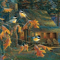 Cabin of Chickadees