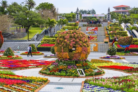 Okinawa Flower Festival - flower park, blossoms, japan, plants