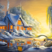 Swan lake in the Winter