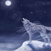 Moonlight Howl