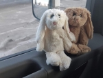 Heading home with stuffed animals