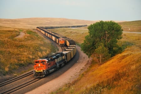 freight train - hill, train, freight, grass, tree